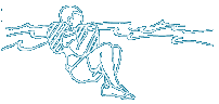 0x08 graphic