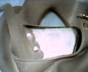 0x08 graphic